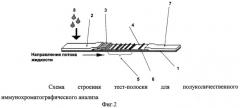 Тест-система для полуколичественного иммунохроматографического анализа (патент 2510510)