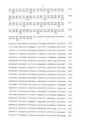 Фармацевтическая композиция для лечения и/или профилактики рака (патент 2607366)
