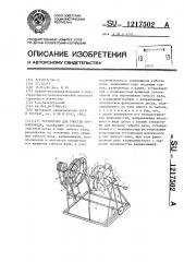 Устройство для очистки трубопровода (патент 1217502)