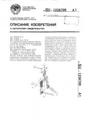 Копач для корнеплодов (патент 1256709)