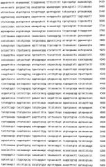 Бактериофаг, обладающий активностью против pseudomonas aeruginosa, белки бактериофага и способы их применения (патент 2580248)