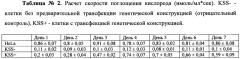 Способ коррекции митохондриальной дисфункции с помощью генетической конструкции (патент 2642972)