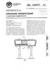 Гимнастический конь (патент 1389787)