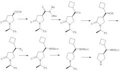 Средство против кислотоустойчивых бактерий, содержащее пиридонкарбоновые кислоты в качестве активного компонента (патент 2299205)
