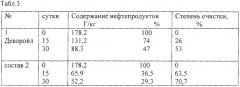 Биопрепарат для очистки почвы от нефти и нефтепродуктов (патент 2299101)