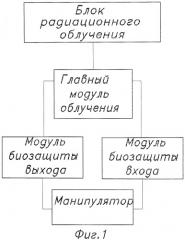 Блок радиационного облучения (патент 2400253)