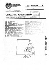 Дозатор загрузчика минеральных удобрений (патент 1021380)