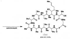Новые циклические пептидные соединения (патент 2423377)