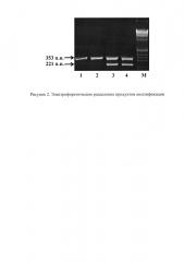 Способ прогнозирования риска развития рака яичников (патент 2599502)