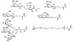 Новые амфифильные производные aльфа-c-фенил-n-трет-бутилнитрона (патент 2364602)