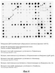 Способ обнаружения днк возбудителя туберкулеза с одновременным установлением его генотипа и определением генетических детерминант множественной и широкой лекарственной устойчивости, олигонуклеотидный микрочип, набор праймеров и набор олигонуклеотидных зондов, используемые в способе (патент 2562866)