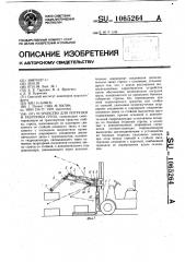 Устройство для погрузки и разгрузки груза (патент 1065264)