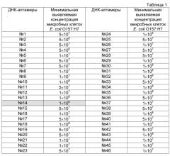 Последовательность днк-аптамеров, связывающаяся с бактериями escherichia coli o157:h7 (патент 2566551)