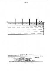 Способ изготовления магнитных частиц рабочего слоя носителя магнитной записи (патент 940219)