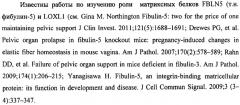 Способ ранней диагностики развивающегося пролапса тазовых органов у женщин репродуктивного возраста при отсутствии клинических признаков (патент 2498308)