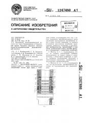 Дисковый фильтр (патент 1247480)