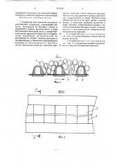 Устройство для хранения сельскохозяйственной продукции (патент 1717001)