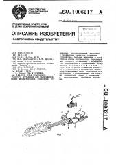 Установка для раскряжевки пачки лесоматериалов (патент 1006217)