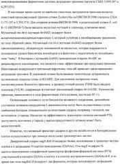 Способ получения l-аминокислот с использованием бактерии, принадлежащей к роду escherichia (патент 2312893)