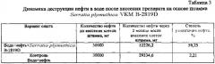 Штамм бактерий serratia plymuthica -деструктор нефти и нефтепродуктов (патент 2560272)