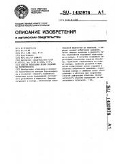 Способ испытания полых изделий на герметичность (патент 1435976)