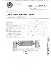 Струнный виброгаситель (патент 1719745)