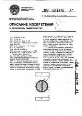 Теплоаккумулирующая насадка и способ ее изготовления (патент 1231372)