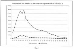 Штамм pseudomonas azotoformans для очистки морских водоемов и прибрежной зоны морских объектов от нефти в условиях высоких широт (патент 2553338)