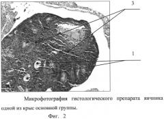 Способ моделирования синдрома хронической ановуляции (патент 2527166)