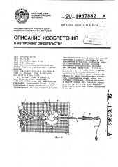 Устройство для декапитации тюльпанов (патент 1037882)