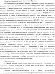 Идентификация варианта днк, связанного с гиполактазией взрослого типа (патент 2391404)