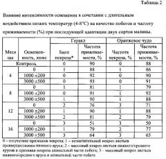 Способ сохранения ювенильного статуса культуры in vitro малины (rubus idaeus) (патент 2662670)