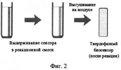 Способ определения катехоламинов и их метаболитов с использованием твердофазного флуоресцентного биосенсора (патент 2554499)