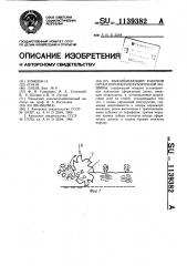 Выкапывающий рабочий орган корнеклубнеуборочной машины (патент 1139382)