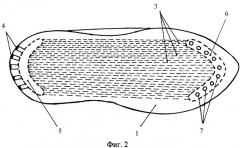 Устройство средней части подошвы для принудительной вентиляции обуви (патент 2352229)