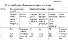 Способ отбора зерновых колосовых культур на устойчивость к повреждению скрытостебельными вредителями (патент 2606096)