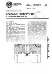 Конструкция деформационного шва сопряжения сталежелезобетонных пролетных строений моста (патент 1293269)