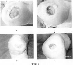 Ферментный ранозаживляющий препарат (патент 2484811)