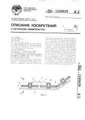 Устройство для выделения крупных примесей из вороха корнеклубнеплодов (патент 1340629)