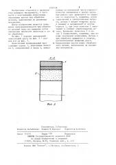 Лепестковый полировальный круг (патент 1207738)