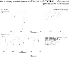 Штамм trichoderma citrinoviride bissett - продуцент антибиотиков-пептаиболов с антигрибной и антибактериальной активностью (патент 2564577)