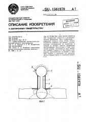 Устройство для сбора химуса (патент 1561970)