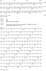 Новые факторы роста фибробластов (патент 2329058)