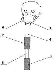 Способ тренировки дыхания (патент 2344807)