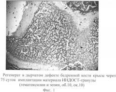Остеоиндуцирующий материал "индост" (варианты) (патент 2317088)