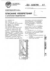 Распылительная насадка (патент 1256798)