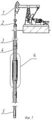 Скважинная штанговая насосная установка (патент 2403442)