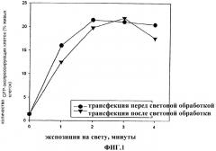 Фотохимическая интернализация для доставки молекул в цитозоль (патент 2333246)