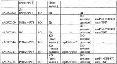 Модифицированные грамположительные бактерии и их применение (патент 2653757)