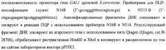 Способ получения белка e7-hsp70 и штамм дрожжей saccharomyces cerevisiae для его осуществления (патент 2489481)